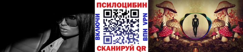 Купить  Белинский  Галлюциногенные грибы прущие грибы 